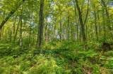 Lot 1 Gaylord Lake Rd - Photo 13