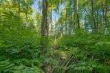 Lot 1 Gaylord Lake Rd - Photo 15