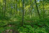 Lot 1 Gaylord Lake Rd - Photo 20