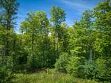 Lot 1 Gaylord Lake Rd - Photo 8