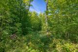 Lot 1 Gaylord Lake Rd - Photo 9