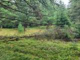 Lot #3 Timbering Haven Dr - Photo 16