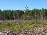 ON Hall Rd - Photo 13