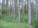 W10485 County Line Rd - Photo 10