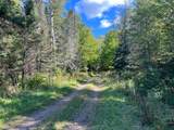 14810 Hwy 55 - Photo 12
