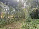 OFF Pickerel Creek Rd - Photo 2