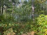 OFF Pickerel Creek Rd - Photo 3