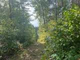 OFF Pickerel Creek Rd - Photo 4
