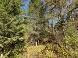 4204 Hegemann Rd - Photo 10