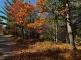 4.54 AC Birch Lake Rd - Photo 1
