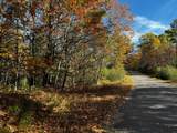 4.54 AC Birch Lake Rd - Photo 2