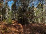 4.54 AC Birch Lake Rd - Photo 3