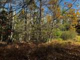 4.54 AC Birch Lake Rd - Photo 4