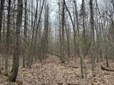 80 Acres Hightower Rd - Photo 3