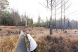 TBD Federal Forest Rd - Photo 19