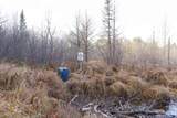 TBD Federal Forest Rd - Photo 20