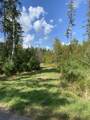 3 ACRES Pine Shore Ln - Photo 10