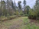 3 ACRES Pine Shore Ln - Photo 2