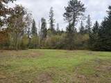 3 ACRES Pine Shore Ln - Photo 4