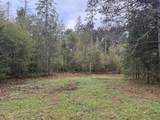 3 ACRES Pine Shore Ln - Photo 5