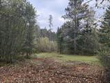 3 ACRES Pine Shore Ln - Photo 6