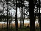 Lot 3 Columbus Lake Rd - Photo 7