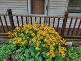 N9606 Westview Rd - Photo 4