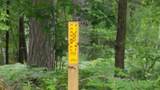 ON Horseshoe Rd - Photo 11