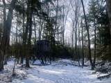 ON Bearskull Rd - Photo 12