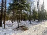 ON Bearskull Rd - Photo 13