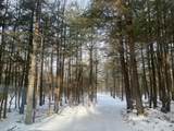 ON Bearskull Rd - Photo 19