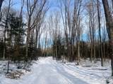 ON Bearskull Rd - Photo 20