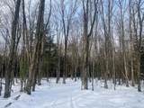 ON Bearskull Rd - Photo 23