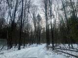 ON Bearskull Rd - Photo 24