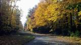 ON Bearskull Rd - Photo 6