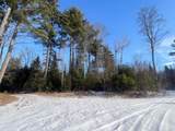 ON Bearskull Rd - Photo 8