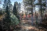 5145 Tamarack Rd - Photo 38