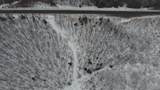 Lot 1 Hwy 70 - Photo 25