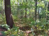 LOT 1 Curtis Lake Dr - Photo 7