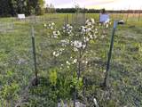 49746 Griffith Rd - Photo 3