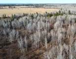 49746 Griffith Rd - Photo 43