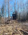 49746 Griffith Rd - Photo 5