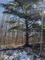 49746 Griffith Rd - Photo 8