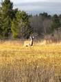 49746 Griffith Rd - Photo 9