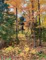 ON Boot Lake Rd - Photo 18