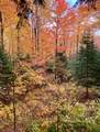 ON Boot Lake Rd - Photo 19