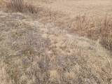 ON Townline Rd - Photo 3