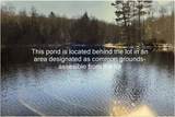 Lot #3 Yellow Birch Rd - Photo 15