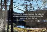 Lot #3 Yellow Birch Rd - Photo 4