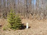 4th Add. Margaret Ln - Photo 3